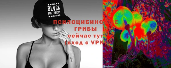 Альфа ПВП Белокуриха
