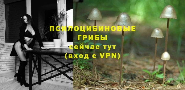 дмт Белоозёрский