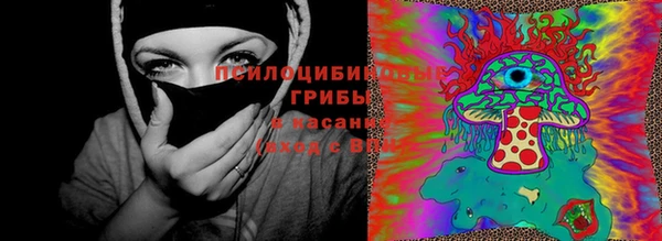 МДМА Приозерск