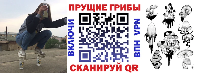закладки  Фрязино  Псилоцибиновые грибы мицелий 